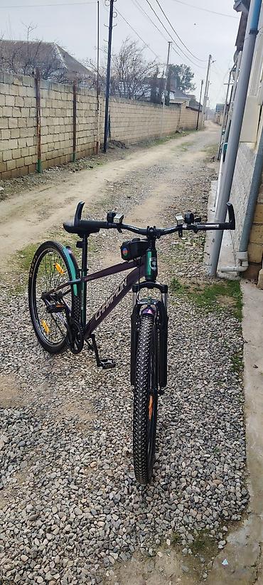 Şəhər velosipedləri: Şəhər velosipedi 29" — 10