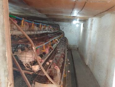 Продажа домов: Дом, 150 м², 7 комнат, Евроремонт — 10