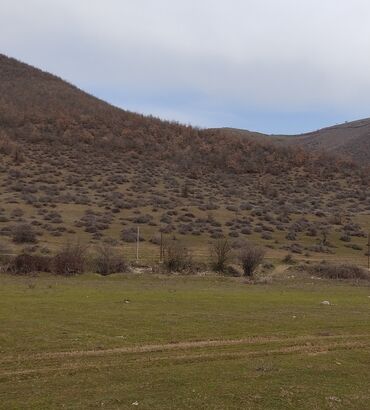 qalaciq kendi kiraye evler: 12 sot, Tikinti, Mülkiyyətçi, Kupça (Çıxarış)