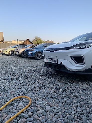 Другие аксессуары внешнего декора: Линейка кроссоверов (на фото — несколько экземпляров одного семейства) — 13