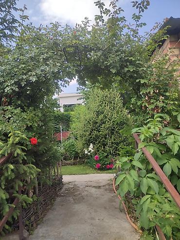 Продажа дач: Продаю шикарную, большую дачу (загородный дом) с потрясающим видом на — 4