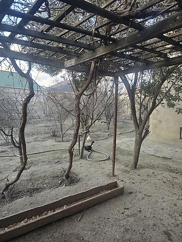 Torpaq sahələrinin satışı: 16 sot, Tikinti — 6