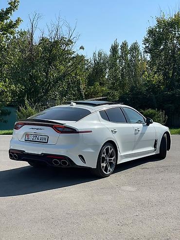 work kiwami: Kia Stinger: 2019 г., 2 л, Автомат, Бензин, Фастбек — 3