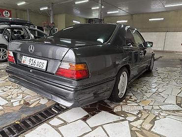 w220 дерево: Mercedes-Benz W124: 1991 г., 2.3 л, Автомат, Бензин, Купе — 4