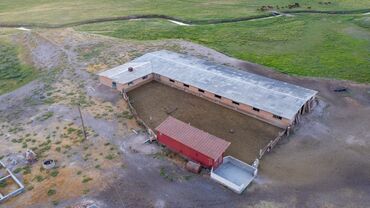 продаю дом село садовой беловодск: Сатам Мүйүздүү бодо мал фермасы, 730 соток, Иштеп жаткан, Газ, Электр энергиясы, Муздак суу