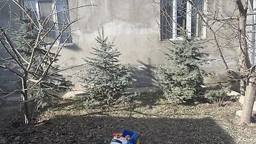 3 3: 3 штук 13000 мин сом — 1