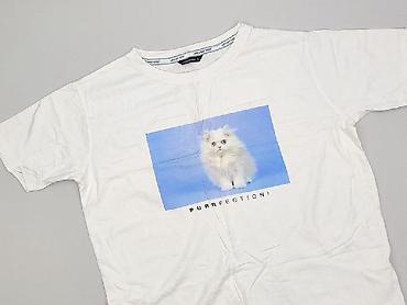 stanik pusheen: Diverse, T-shirt damski, rozmiar S — 1