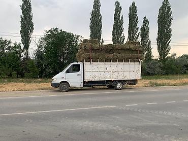 унаа тетиктери: Mercedes-Benz Спринтер: 1999 г., 2.9 л, Кол менен иштөөчү, Дизель, Лимузин — 6