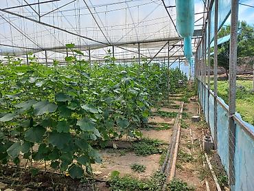 Продажа сельхоз предприятий: Кошара, 1500 соток, Действующий, С оборудованием, Электричество, Канализация, Отопление — 12