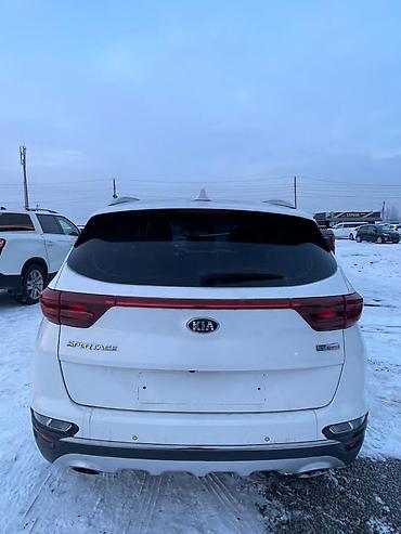 Kia: Kia Sportage: 2019 г., 2 л, Автомат, Дизель, Кроссовер — 3