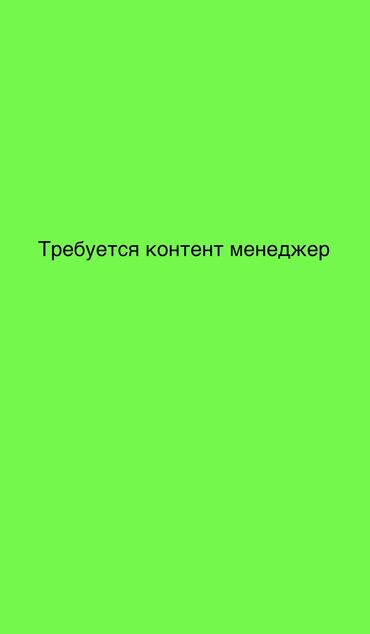 заказчик требуется: Требуется контент менеджер