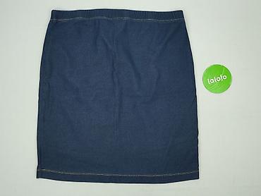 big star spodnice: John Baner, Spódnica damska, rozmiar 2XL — 3