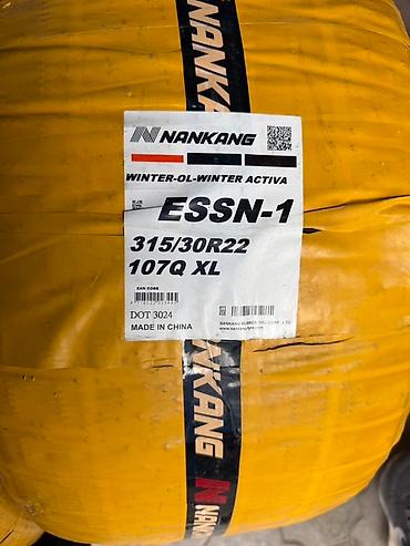 Унаа: Зимние шины Nankang ESSN-1 (серия Winter Activa) Доступные — 1