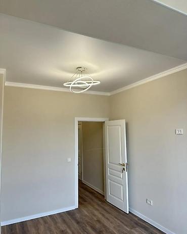 45: 1 комната, 45 м², Пишпек Элитка, 8 этаж, Евроремонт — 5