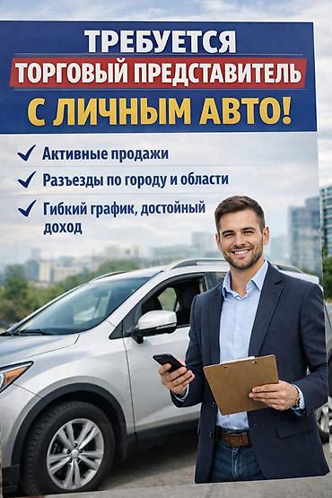 life network system: Требуется торговый представитель (вэн-система) со своим авто Оклад — 1