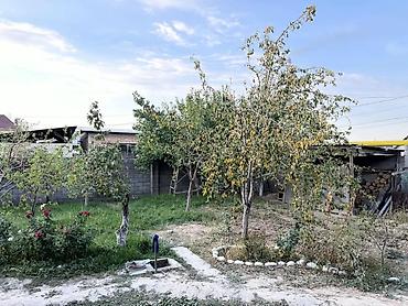 учас: 84 соток, Курулуш, Кызыл китеп — 3