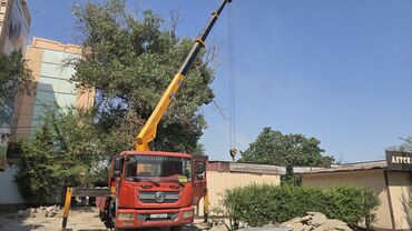 Аренда манипулятора: Сдаю в аренду — 13