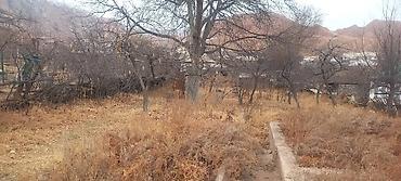 Продажа участков: 11 соток, Для строительства, Красная книга — 7