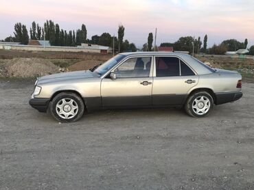 Mercedes-Benz: Mercedes-Benz 230: 1988 г., 2.3 л, Автомат, Газ