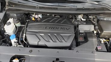 Kia: Kia Carnival: 2.2 l | 2022 il Van/Minivan — 2