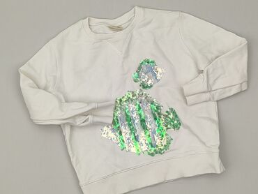 Світшот, Zara, 4-5 р., 110-116 см, стан - Дуже гарний