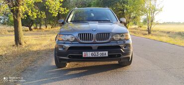 BMW: BMW X5: 2004 г., 4.4 л, Типтроник, Газ, Кроссовер