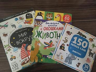 лыжа в бишкеке: Развивающие книжки с окошками для детей младшего дошкольного возраста — 1
