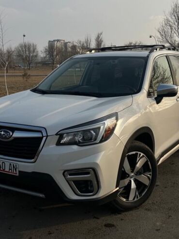 Subaru: Subaru Forester: 2019 г., 2.5 л, Вариатор, Бензин, Кроссовер