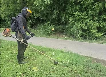 активные мониторы: Уборка территории, Стрижка газона — 1