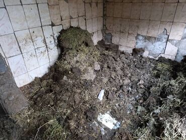 юла отдам даром мебель: Отдам даром самовызов, бараний навоз