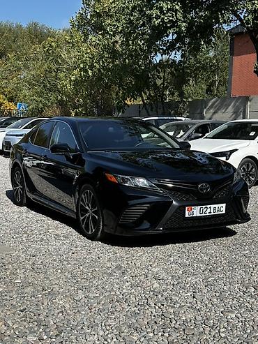 диф: Toyota Camry: 2019 г., 2.5 л, Автомат, Бензин, Седан — 2