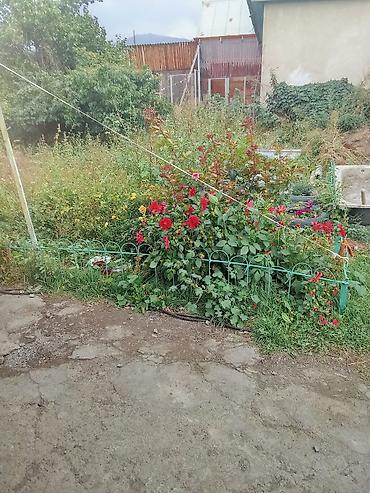 Продажа коттеджей и домов: Продается полдома,участок 4 — 1