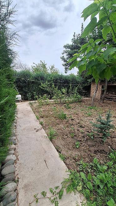 Продажа дачи: ☎️0•703•88•88•00 🌿 Продаются два участка по 5 соток в селе Бек-тоо На — 12