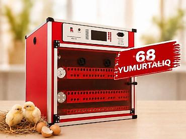 Сельскохозяйственное оборудование: İnkubator 68 yumurta (ilməzli+ryaba) 68, 136 və 204 yumurtalıq Tam — 1