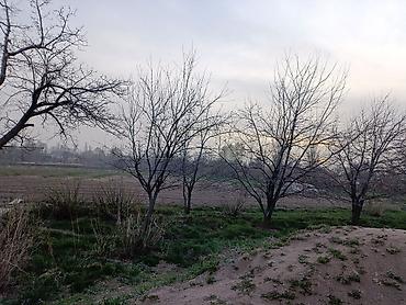 Продажа домов: Дом, 78 м², 3 комнаты, Собственник, Старый ремонт at lalafo.kg — 8 Продажа домов: Дом, 78 м², 3 комнаты, Собственник, Старый ремонт — 8