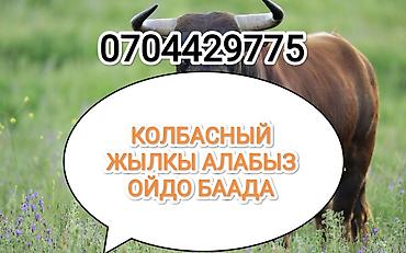живой корм: Колбасный цех, Частное лицо : Лошади, кони, Коровы, быки, | Любое состояние, Забитый, На забой, на мясо — 1