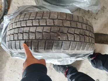 купить диски р16 5х114.3: Шиналар 205 / 55 / R 16, Кыш, Комплект, Жеңил унаалар, Dunlop