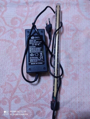 Аквариумы: Водоросли живые: Анубиас Бартера нана ( цветёт белыми и розовыми — 18