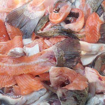 лосось рыба: Суп набор из форели. 1 кг 100 сом. замороженная. вкусно и полезно — 2