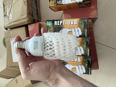 uvb: 💡Peşəkar Reptile UVB Lampa – Sağlamlıq və Güclü İnkişaf üçün! 🦎🌞 26W — 6