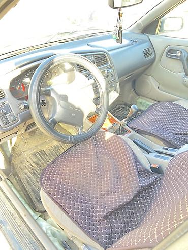 газ 53 баткен: Nissan Primera: 2001 г., 2 л, Кол менен иштөөчү, Бензин, Универсал — 5