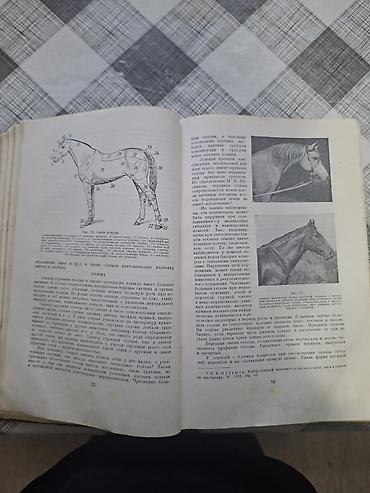 Другие книги и журналы: Продаю редкую книгу про лощадей разных стран. Тираж-25тыс .экз. Год — 7