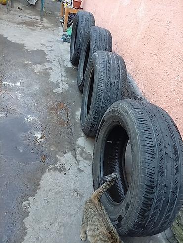 m ms: Летние шины Maxxis Bravo HP-M3 - Размер: 235/65 R17 - Индекс — 5