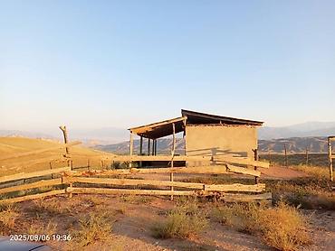 Продажа сельхоз предприятий: Токтогул шаары котормо айылынан айылдын четинен сарай уйу мн сатылат — 6