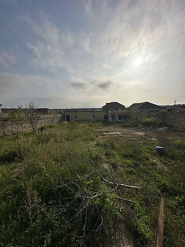 baki torpaq: 6 sot, Tikinti, Maklerlər narahat etməsin, Kupça (Çıxarış) — 6