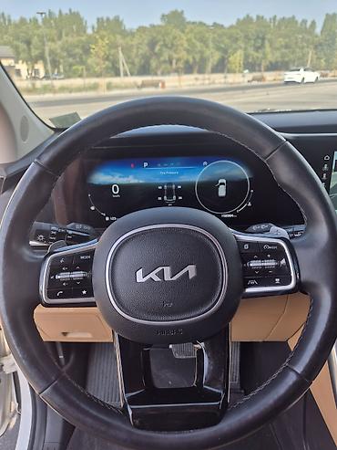 byd pro: Kia Carnival: 2022 г., 2.2 л, Автомат, Дизель, Минивэн — 9