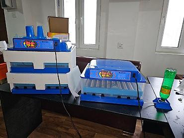İnkubatorlar: 100 yumurta, Çin, Fabrik istehsalı, Tam avtomat, Bütün növ quşlaq üçün — 2