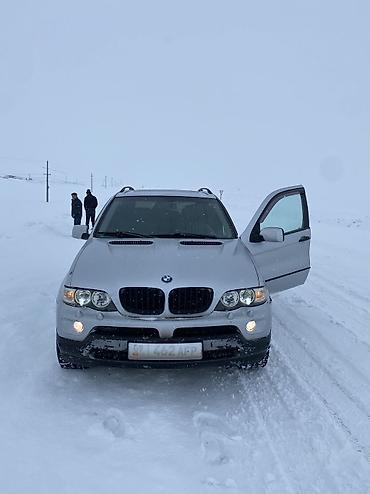 BMW: BMW X5: 2004 г., 3 л, Автомат, Дизель — 3