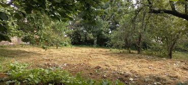 Torpaq sahələrinin satışı: 12 sot, Mülkiyyətçi, Kupça (Çıxarış) — 17