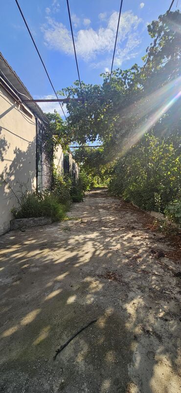 Torpaq sahələrinin satışı: 48 sot, Kənd təsərrüfatı, Kupça (Çıxarış) — 4